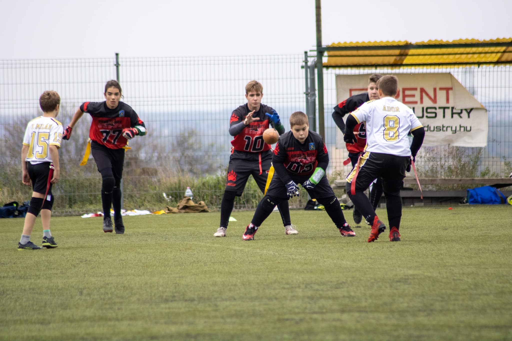 Diósd edzés kép 3.